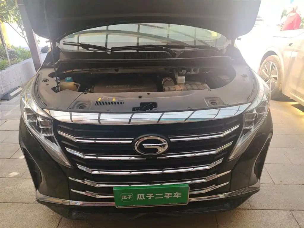 GAC Trumpchi Trumpchi M8 2023 Leading Series 390T Prestige Edition фото 15