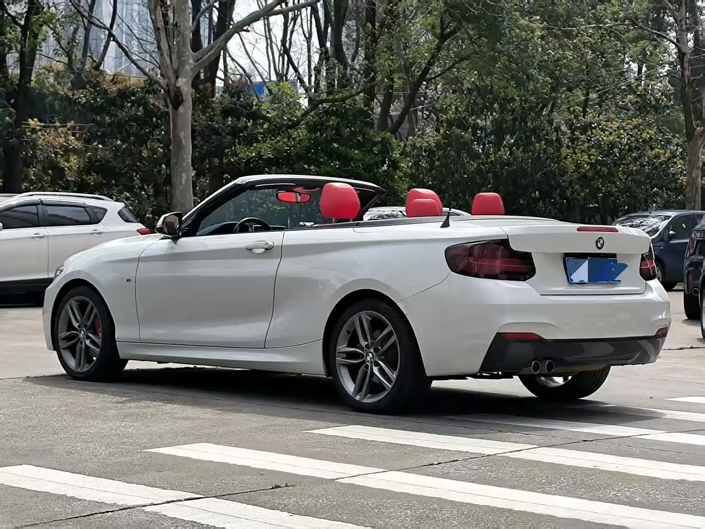 BMW 2 Series (Import) 2018 225i Convertible Coupe Premium M Sport Package фото 13
