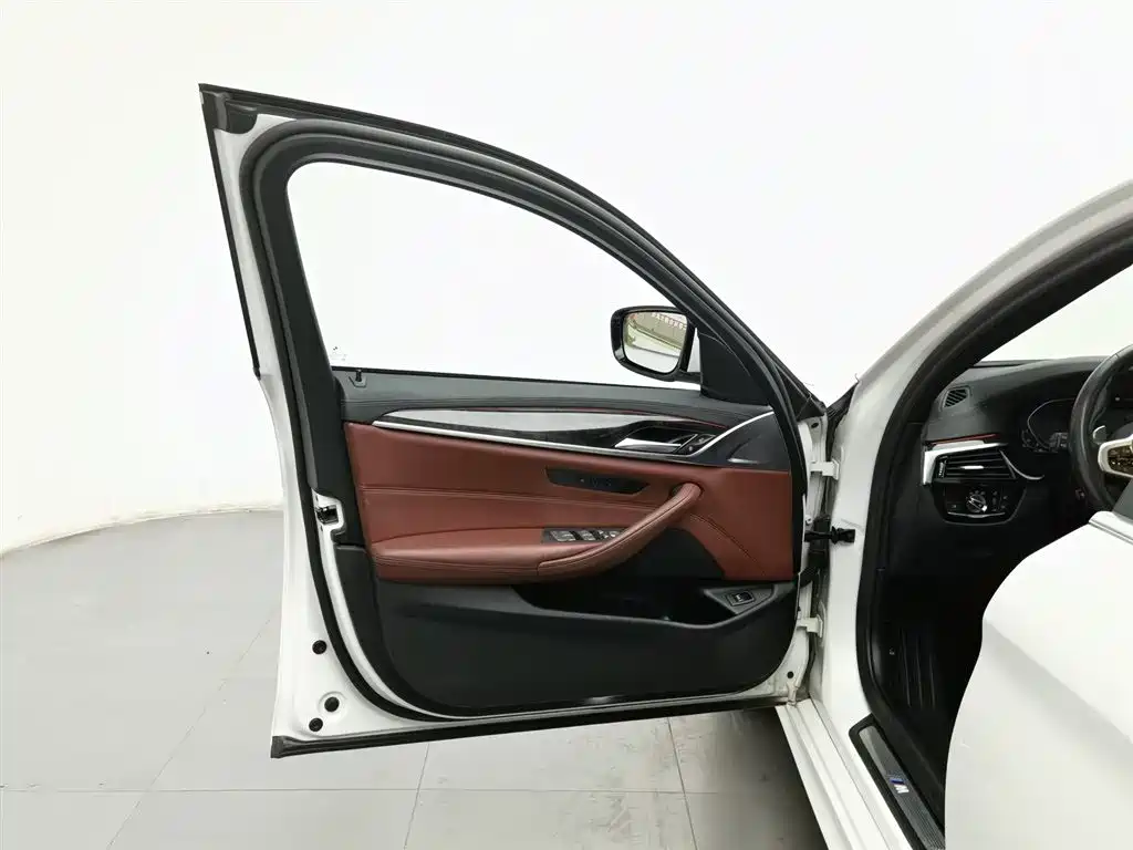 BMW 5 Series 2020 530Li Leading M Sport Package фото 8