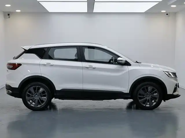 Geely Bin Yue New Energy 2020 2020 1.5T ePro Higher
