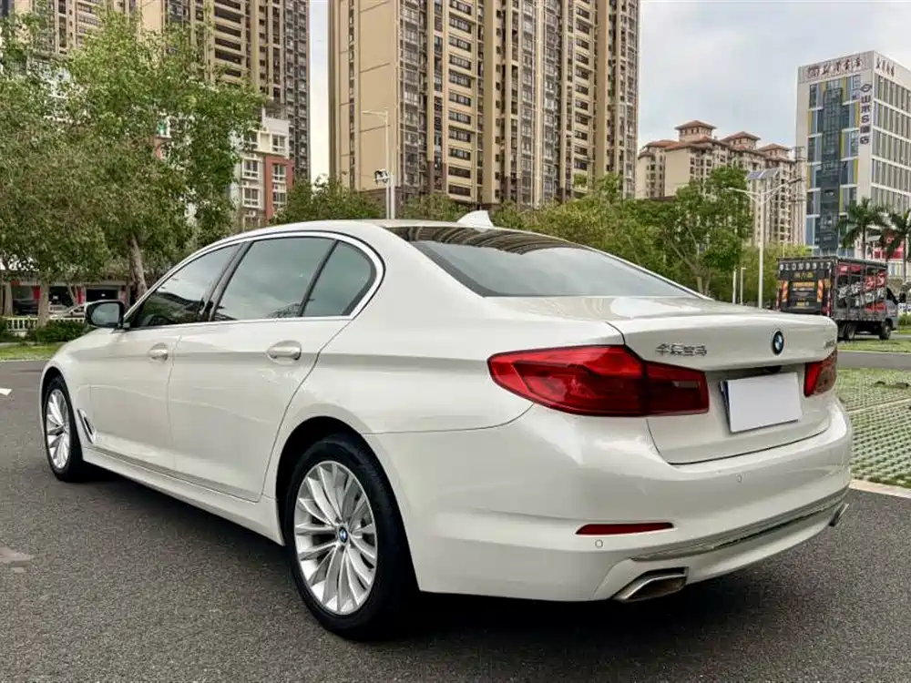 BMW 5 Series 2020 530Li Leading Luxury Package фото 7