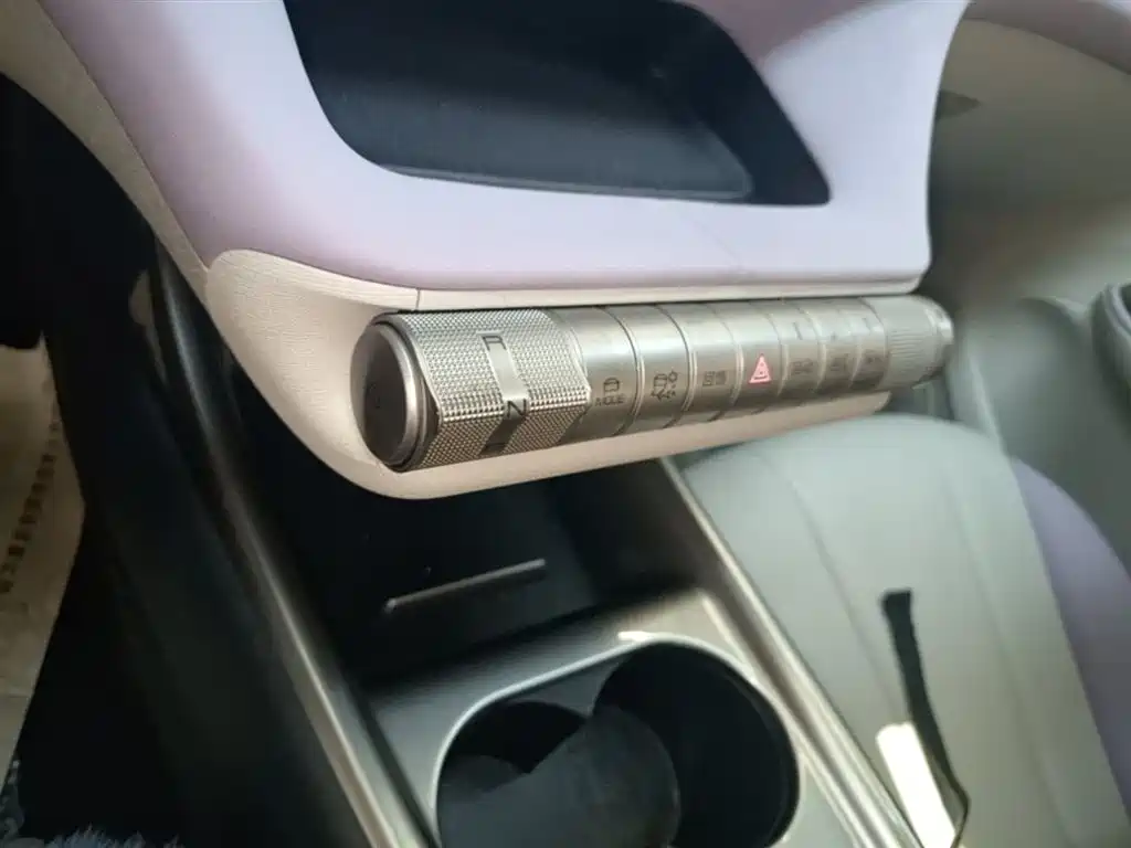 BYD Dolphin 2021 Model 405km Fashion Edition фото 14