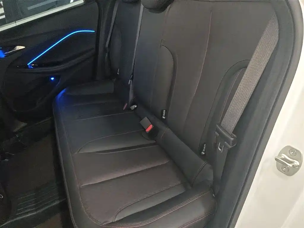 BUICK WEILANG