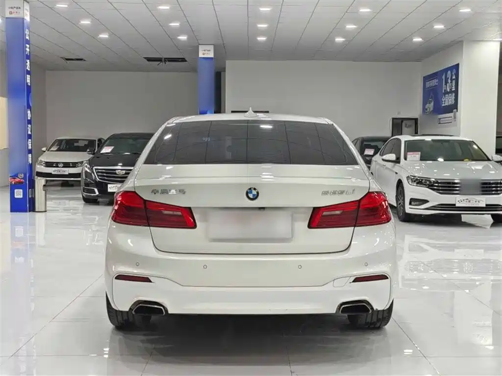 BMW 5 Series 2019 525Li M Sport Package фото 6