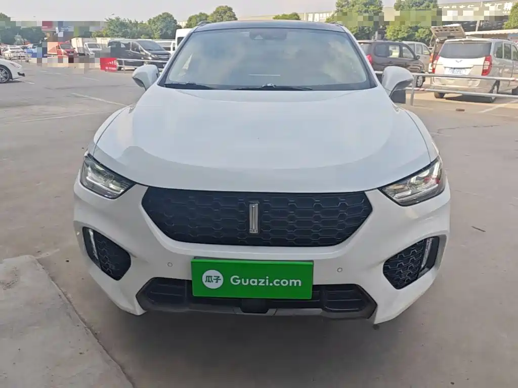 WEY VV5 2017 2017 2.0T Flagship Model
