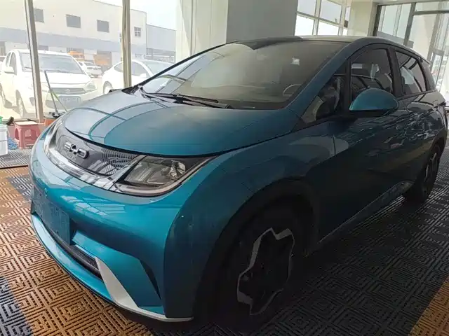 BYD Dolphin 405km, Стиль