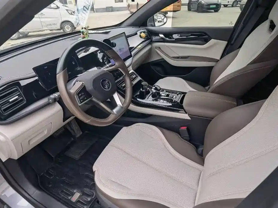 BYD Qin PLUS 2024 Glory Edition DM-i 55KM Leading фото 6