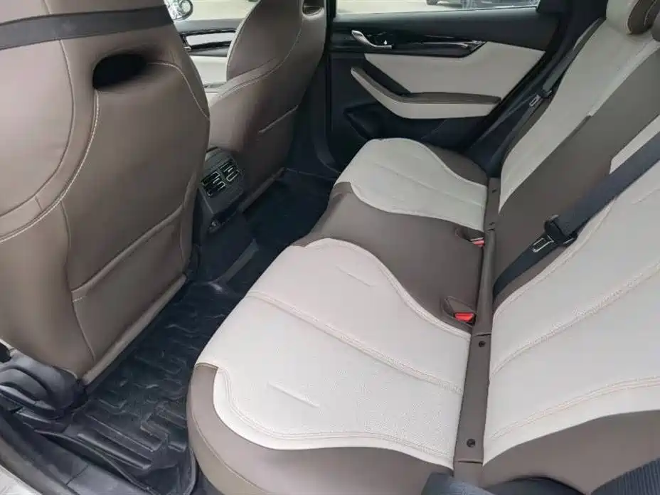 BYD Qin PLUS 2024 Glory Edition DM-i 55KM Leading фото 5