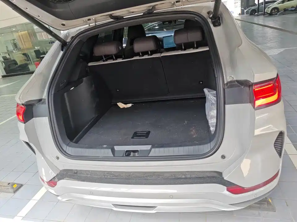 BYD Song PLUS PHEV 2025 DM-i 112KM Honor фото 9