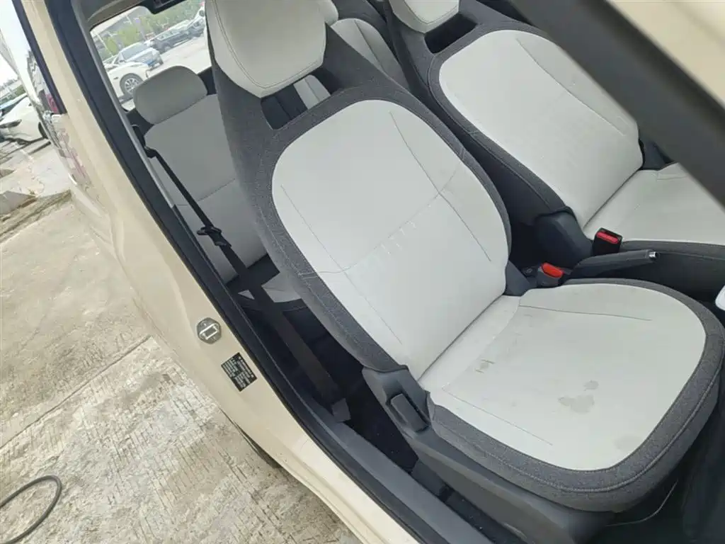 Geely Galaxy Panda 2025 Panda mini 210km Vitality Bear фото 25