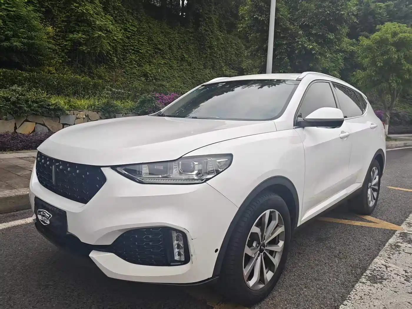 WEY VV6 2018 2018 2.0T 2WD Flagship China V
