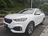 Фото 1 - WEY VV6