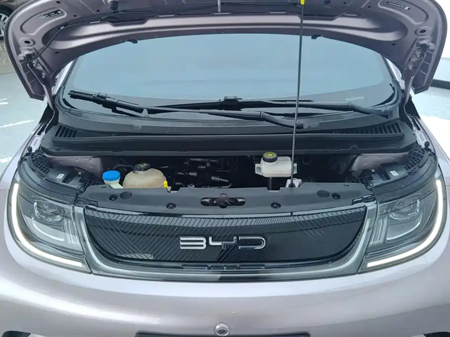 BYD Dolphin 2021 Model 405km Fashion Edition фото 10