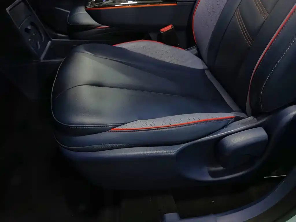 Geely Geometry E Firefly 2023 2022 401KM Delicate Tiger 4-seater