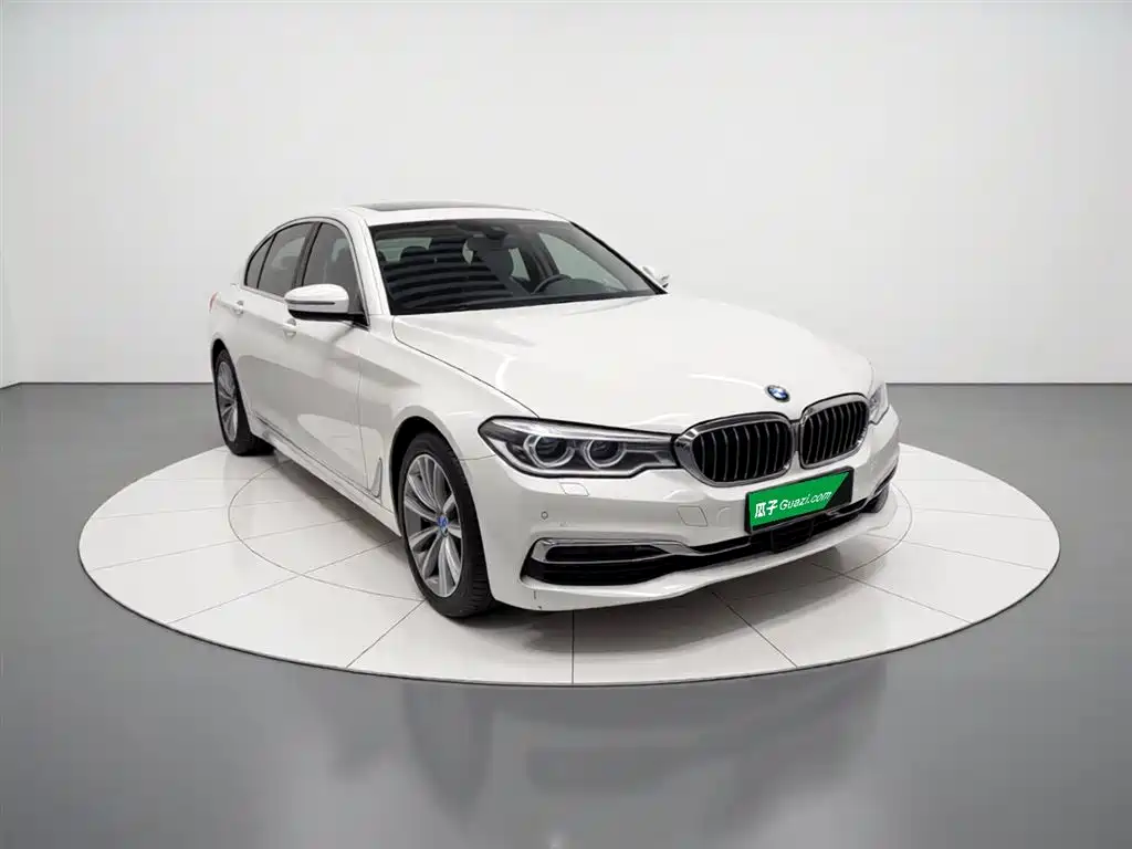 BMW 5 Series 2020 530Li Premium Luxury Package фото 4