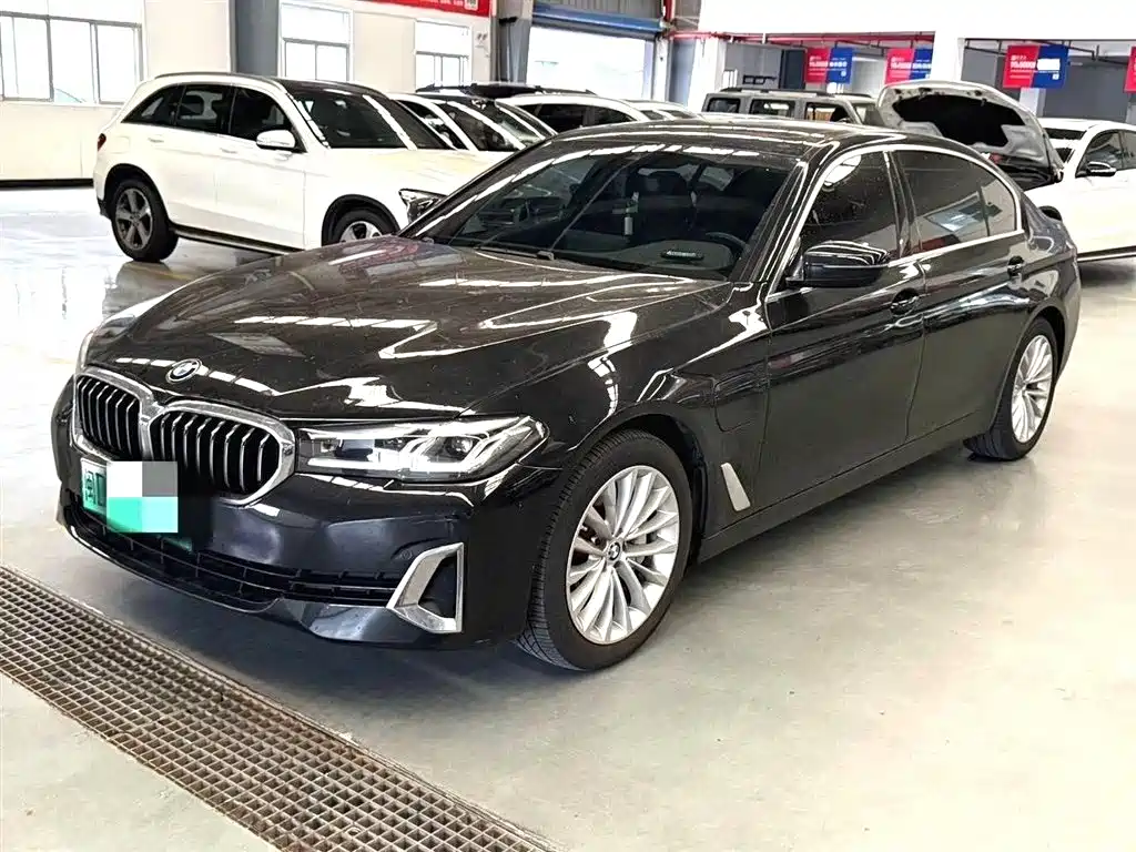BMW 5 Series New Energy 2021 535Le Luxury Package