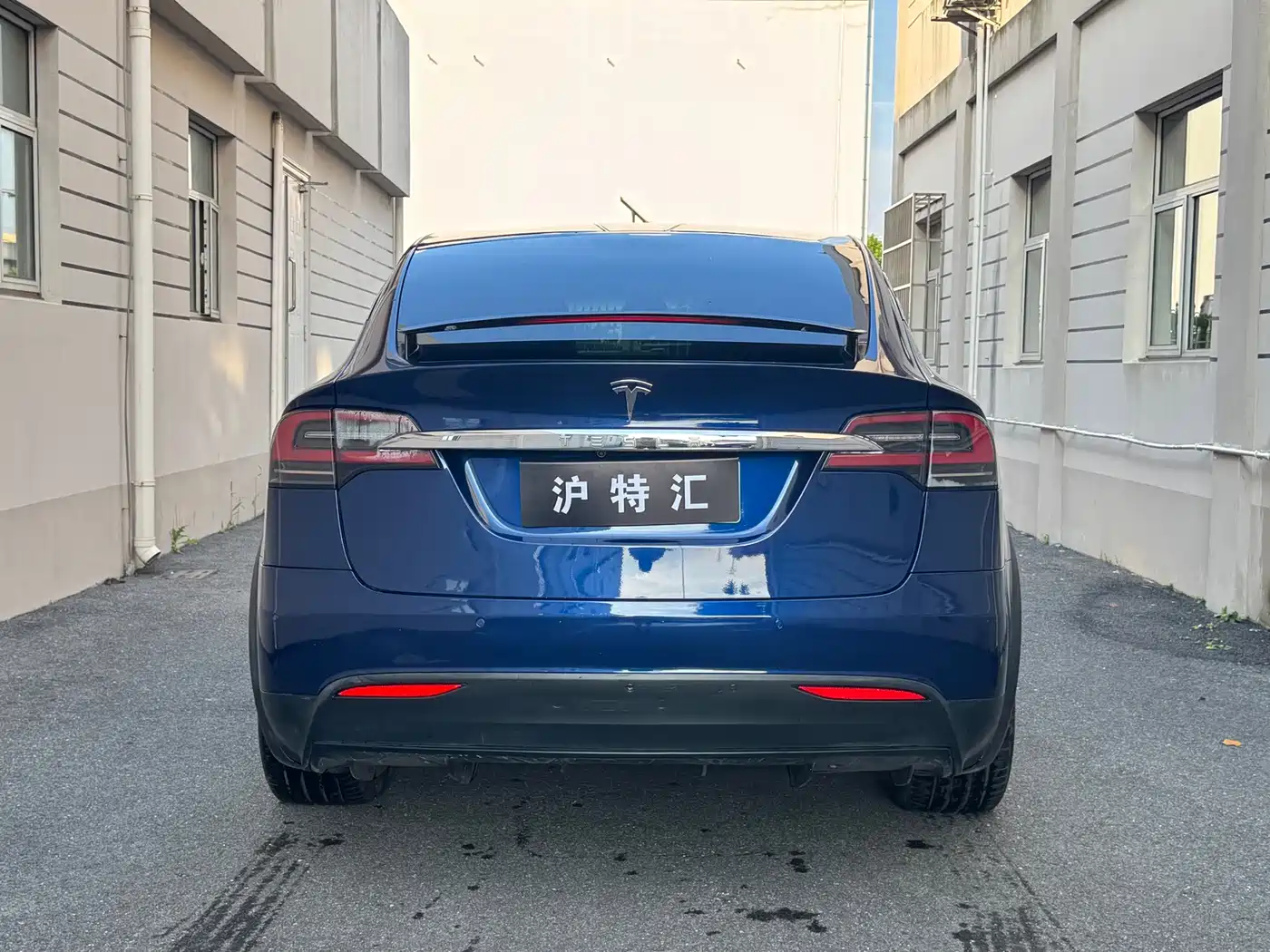 Фото 5 - Tesla Model X