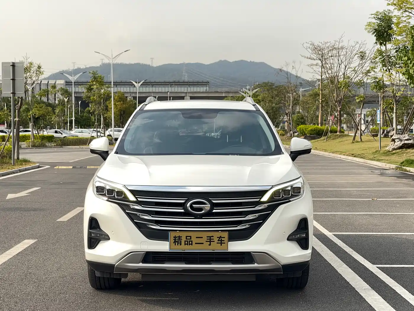 GAC Trumpchi Trumpchi GS5 2019 270T Automatic Luxury фото 2
