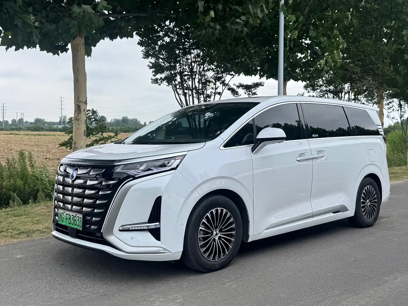 Denza D9 2022 DM-i 970 AWD Flagship
