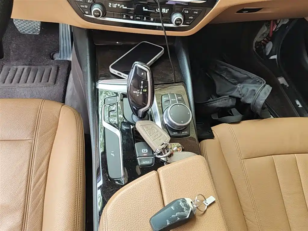 BMW 5 Series 2018 528Li Launch Special Edition фото 10