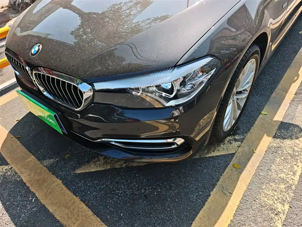 BMW 5 Series 2018 530Li Leading Luxury Package фото 18
