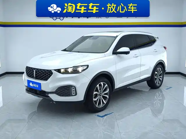  WEY Wey VV6 2020 2.0T 2WD Smart Protection+