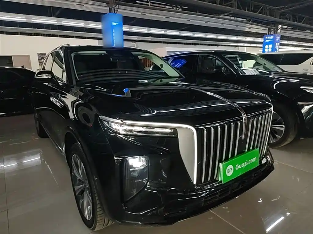 Hongqi E-HS9 2022 660km Qi Chang Edition (6-seater) фото 4