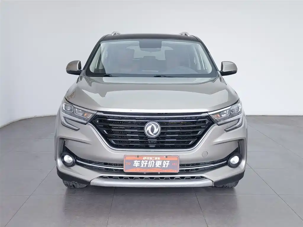 DONGFENG POPULAR T5
