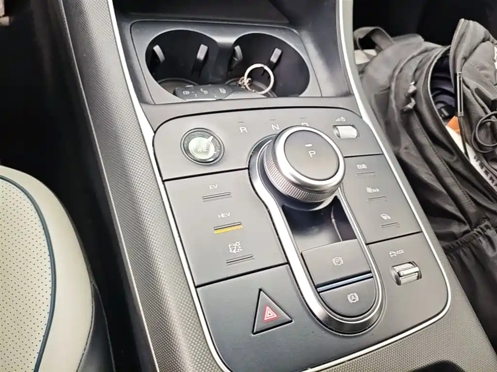 BYD Destroyer 05 2023 Champion Edition DM-i 55KM Luxury фото 14