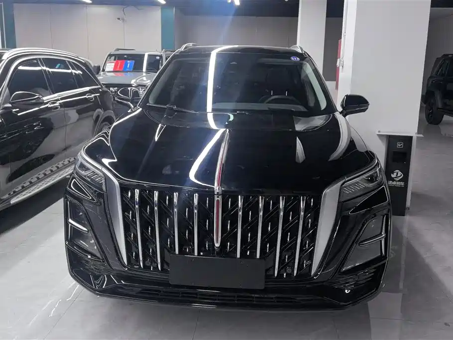 Hongqi HS5 2023 2.0T Flag Leader Pro Edition фото 2