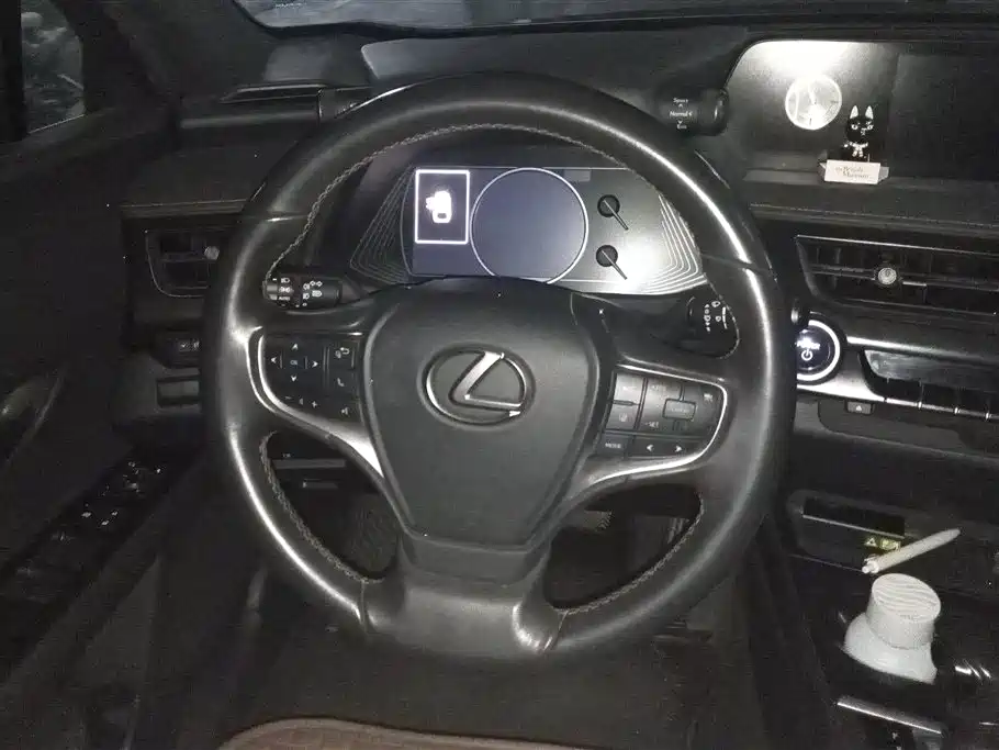 Lexus UX 2020 260h Explore Fun Edition фото 15