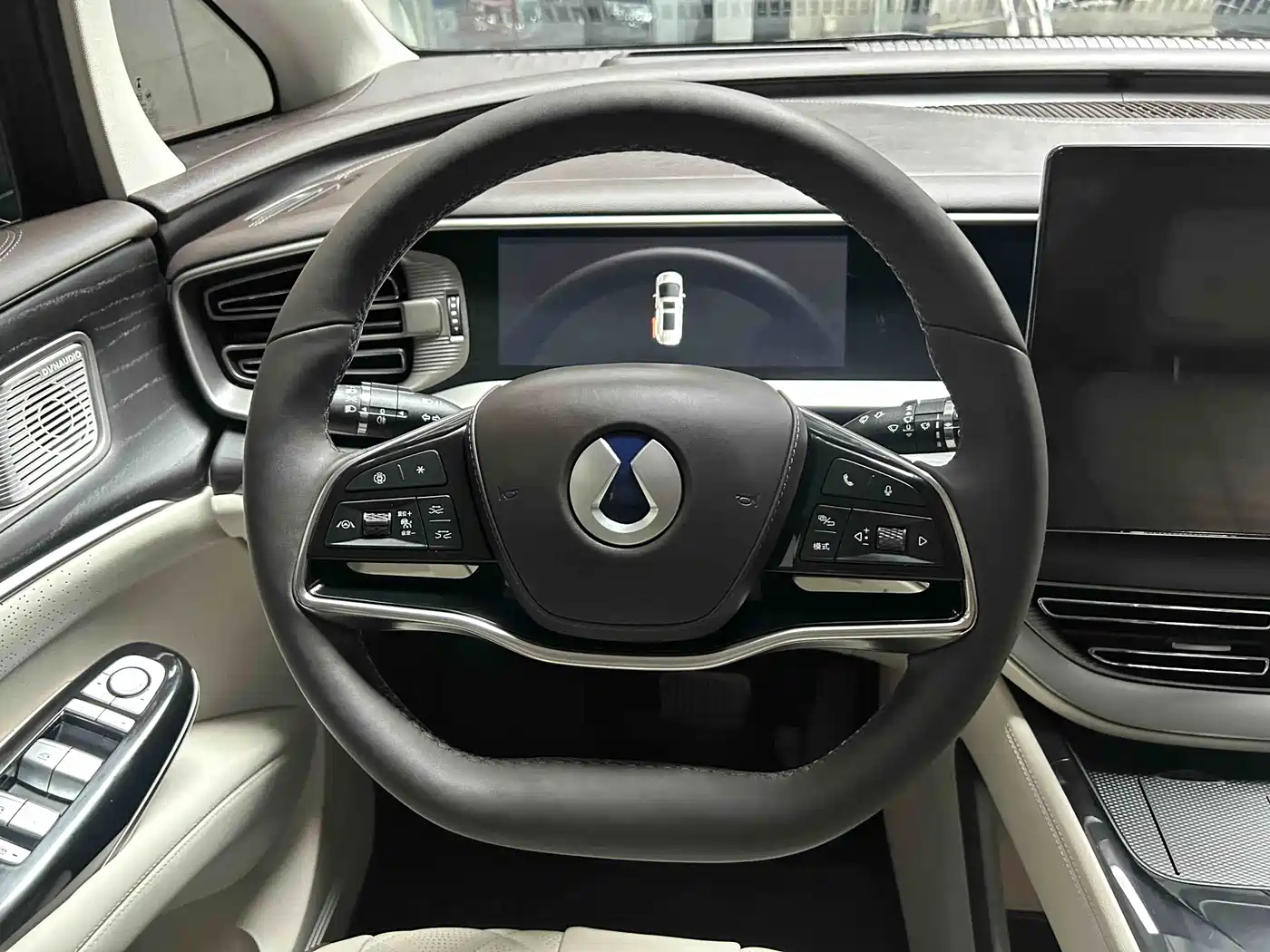 Denza D9 2024 DM-i 980 AWD Prestige фото 16