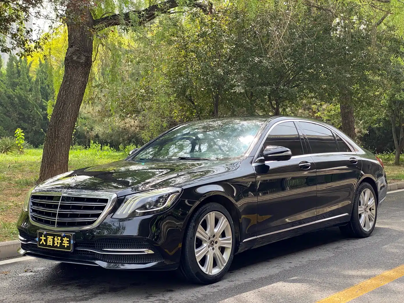 Mercedes-Benz S-Class 2019 S 450 L
