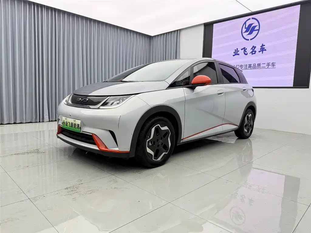 BYD Dolphin 2021 405km Freedom Edition