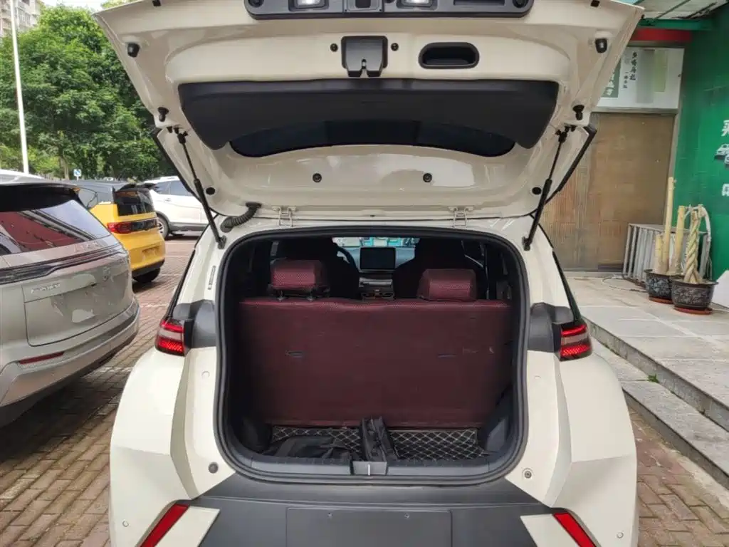 BYD Seagull 2023 Vitality Edition фото 19