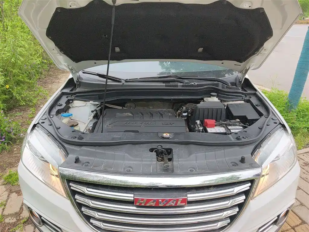 Haval H6 2018 Red Label Sport 1.5T Automatic 2WD Elite фото 20