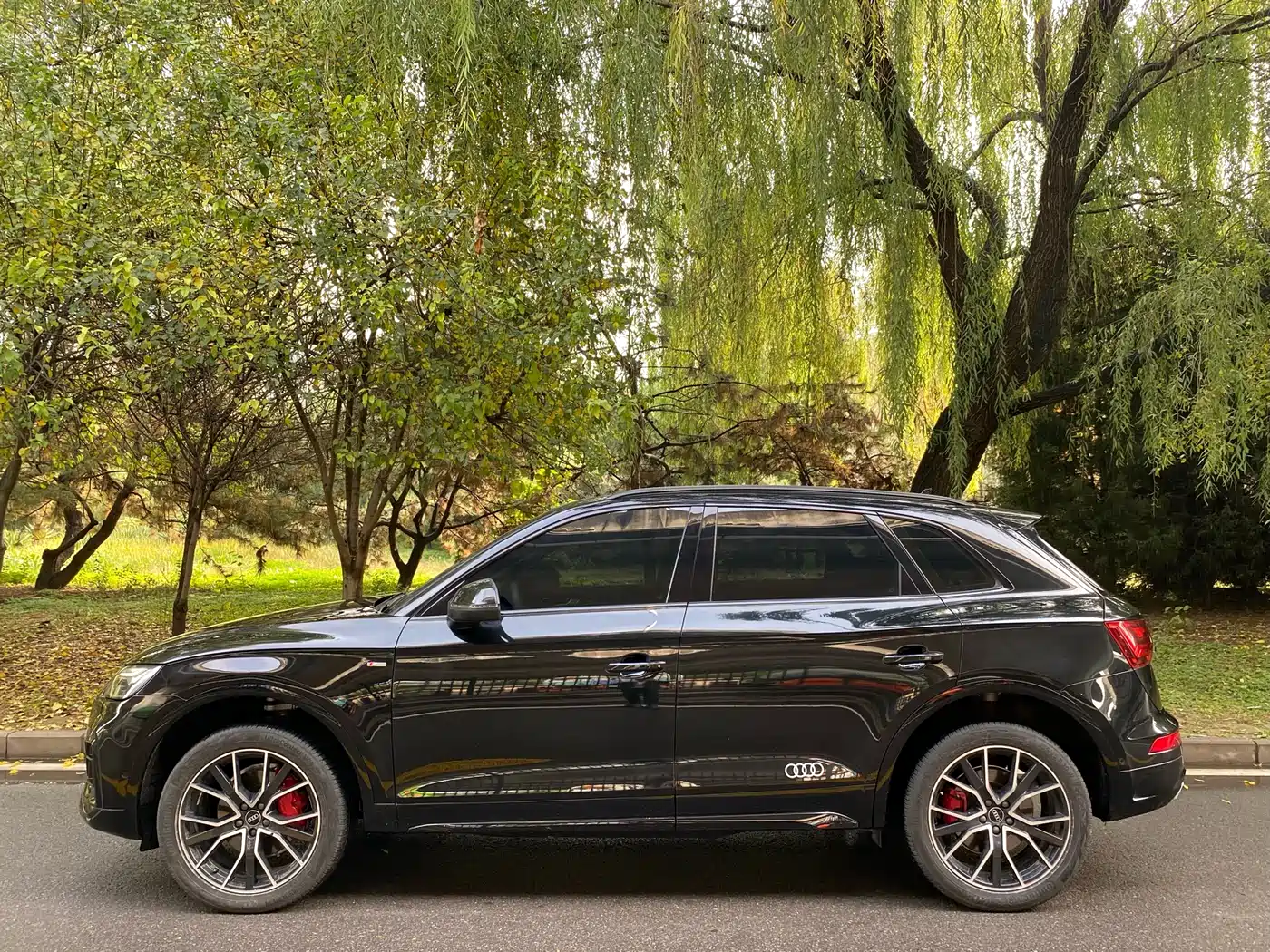 Audi Q5L 2024 Model 45 TFSI Luxury Dynamic фото 3