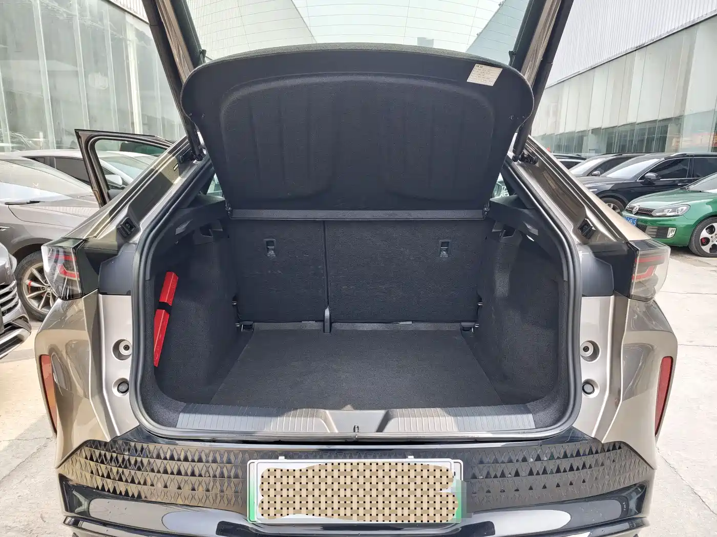 VOLKSWAGEN WITH THE CROWD 06