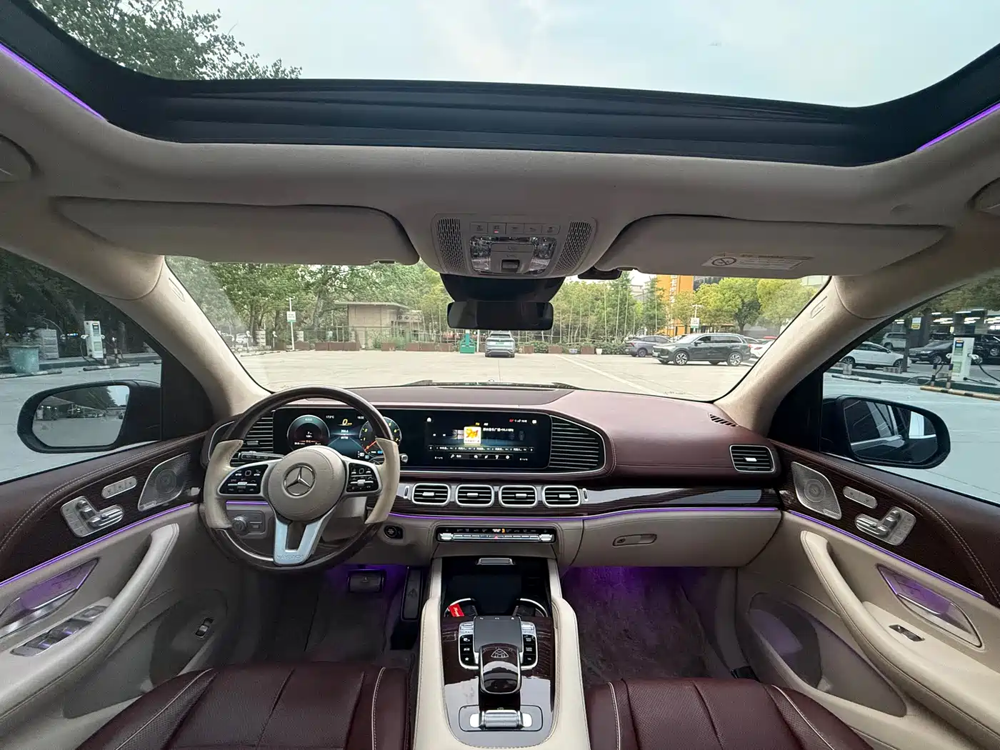 Mercedes-Benz Maybach GLS 2021 GLS 480 4MATIC фото 8