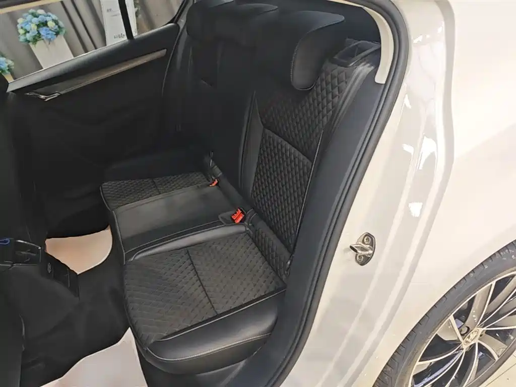Škoda Octavia 2019 TSI280 DSG Luxury Edition фото 13