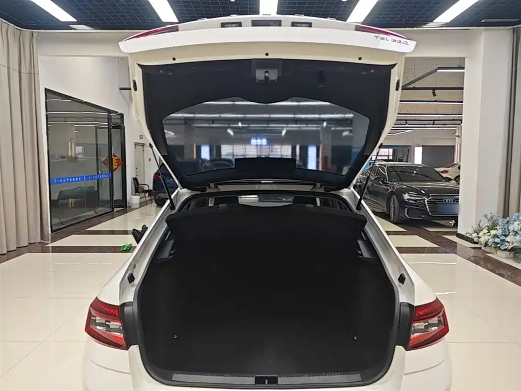 Škoda Octavia 2019 TSI280 DSG Luxury Edition фото 15
