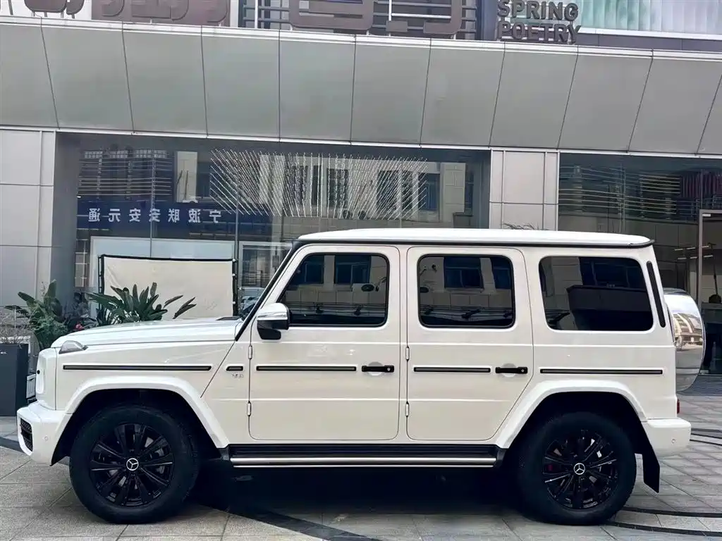 Mercedes-Benz G-Class 2020 G 500 фото 9