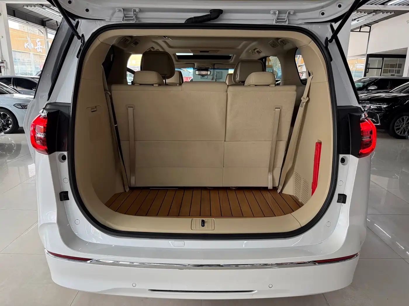 Buick GL8 2023 ES Landmaster Exclusive фото 15