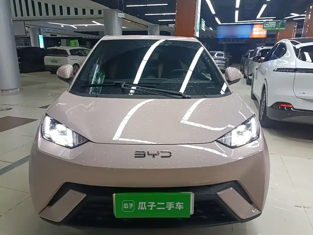BYD Seagull 2023 Freedom Edition фото 3