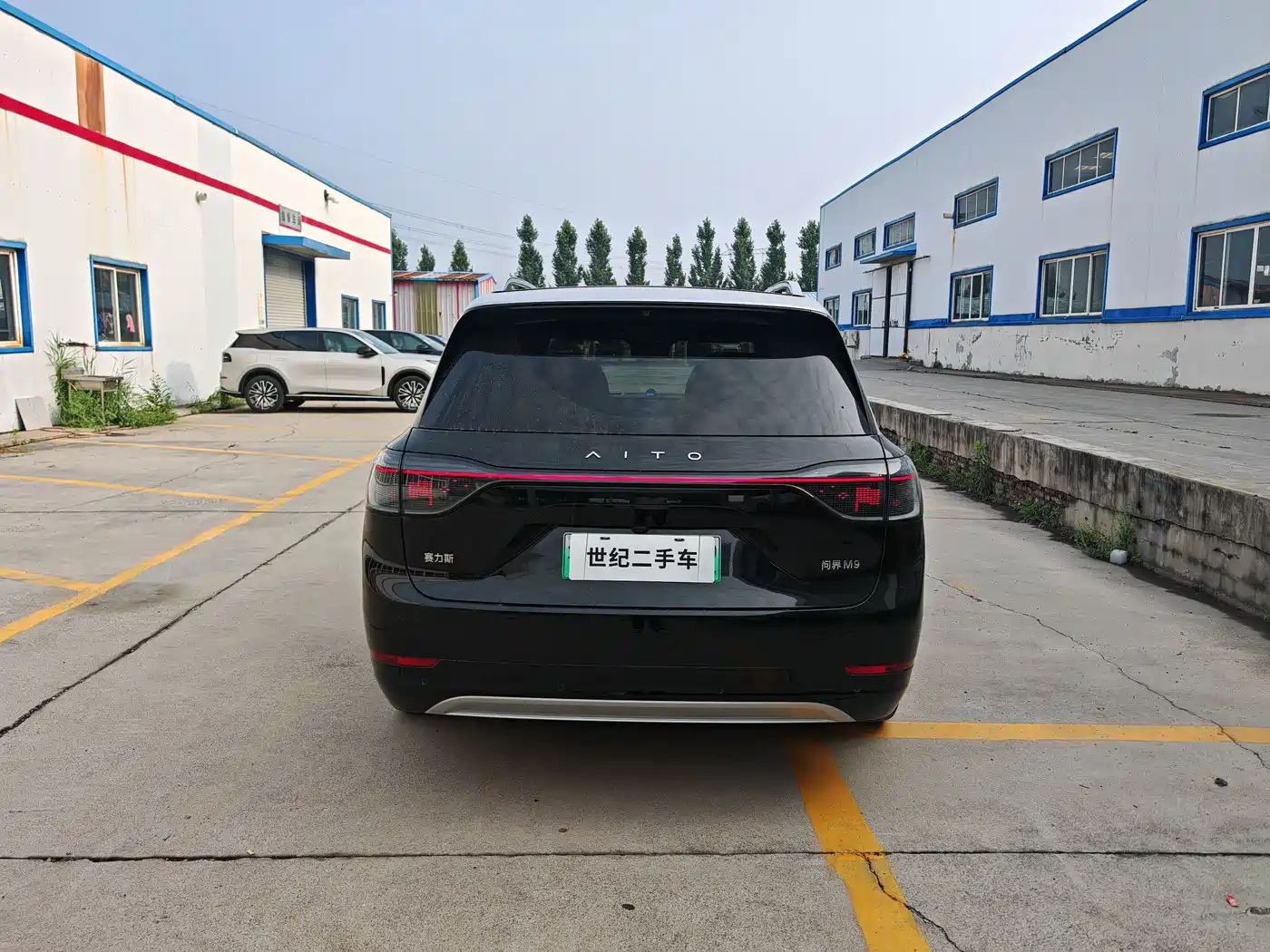 AITO Wenjie AITO M9 2024 Extended Range Ultra 42kWh 6-Seater фото 14