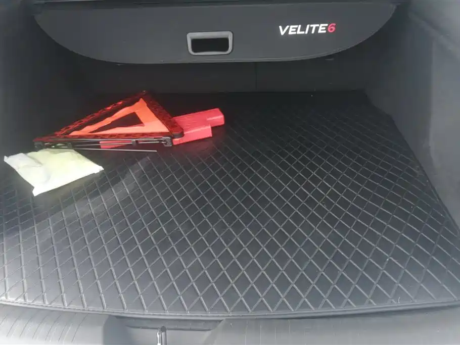 BUICK SLIGHTLY BLUE 6