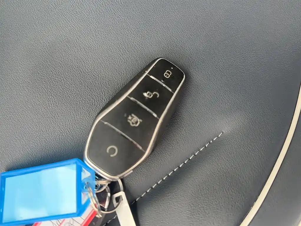 BYD Qin PLUS 2021 DM-i 55KM Flagship фото 12