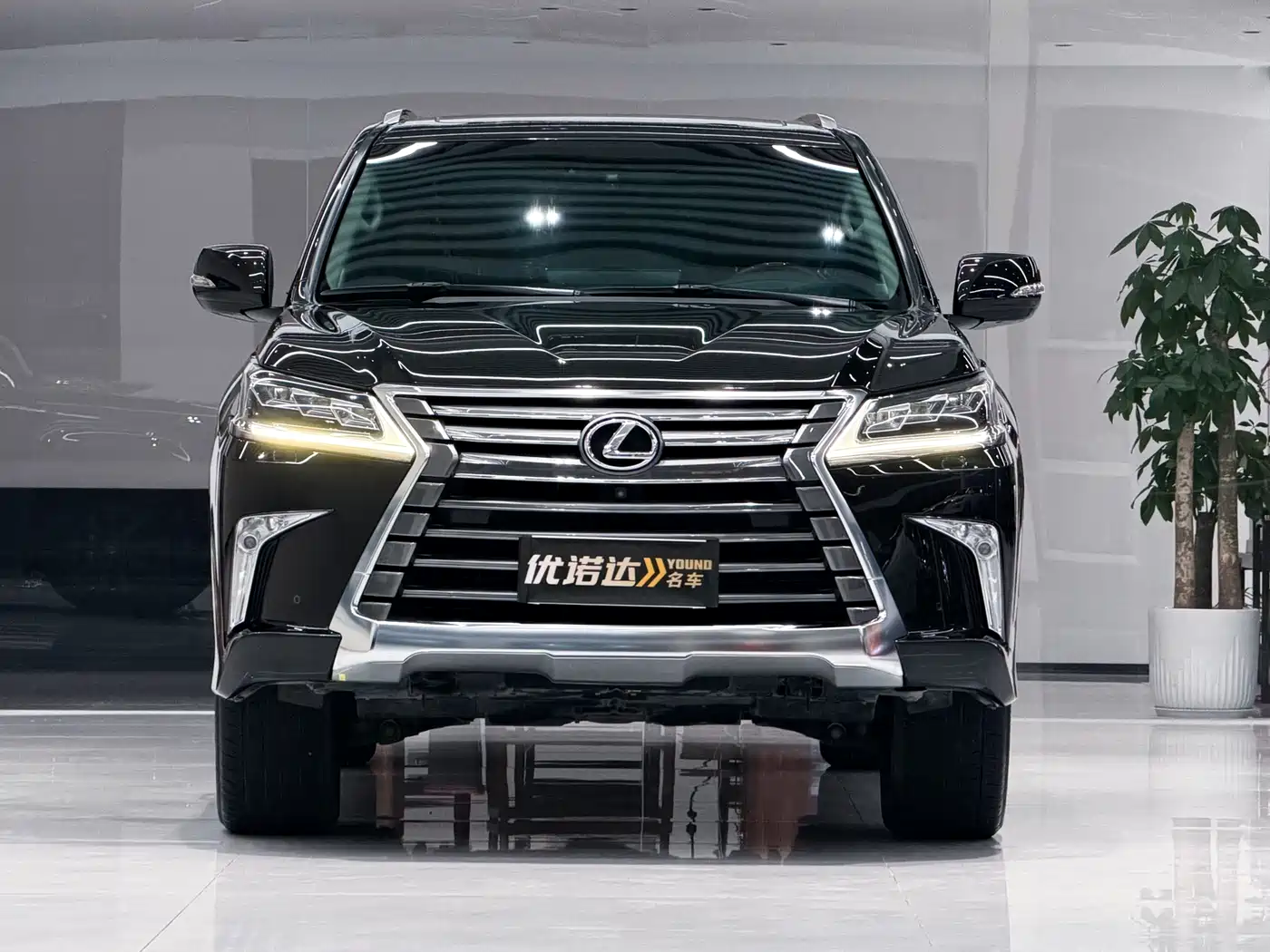 Lexus LX 2019 570 Dynamic Luxury Edition фото 2