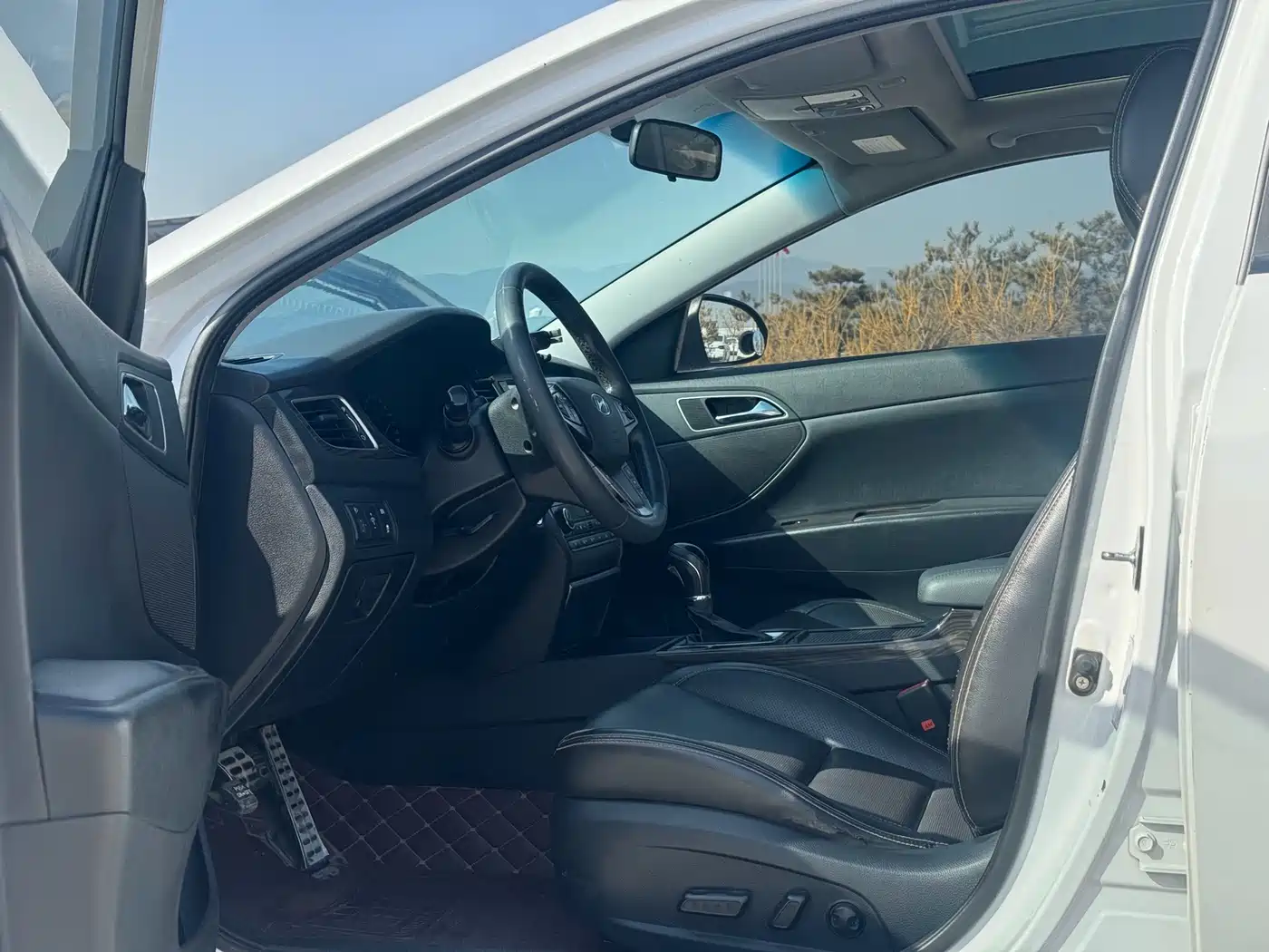 HYUNDAI NAME PICTURE