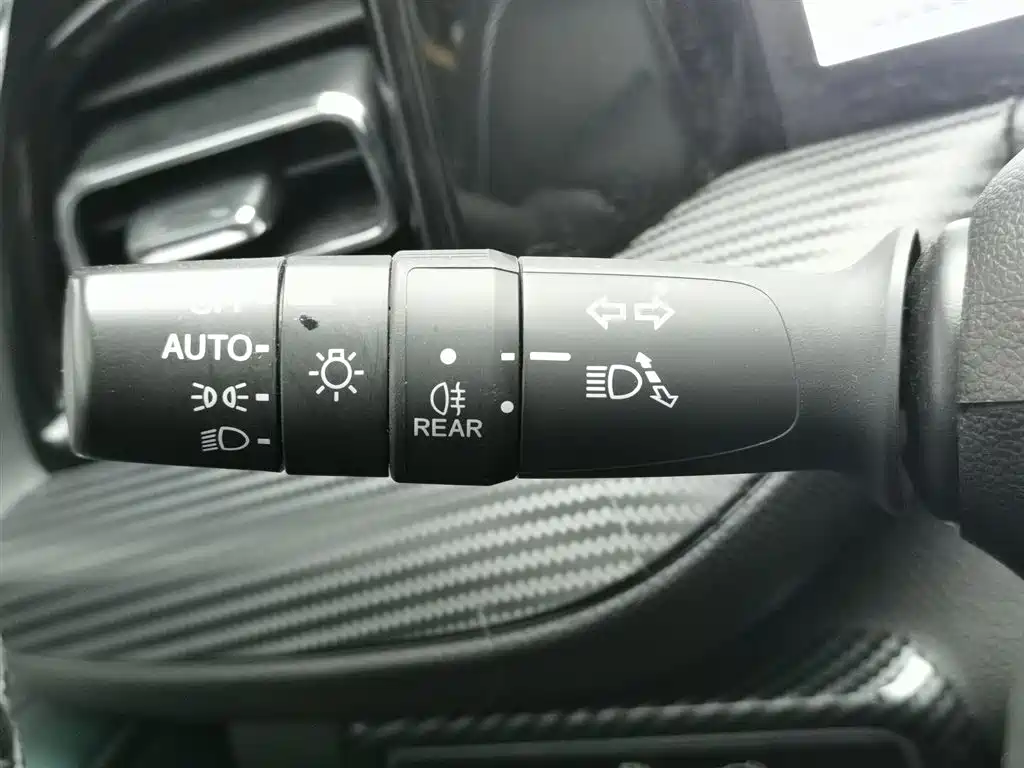 GAC Trumpchi Trumpchi GS8 2022 Pilot Series 2.0TGDI 2WD Premium Edition (6-Seater) фото 21